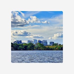 Arlington Parking Credit - $250